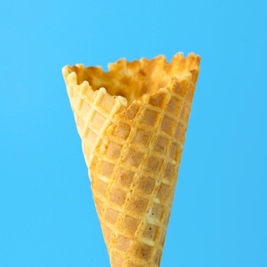 Photo of cone.