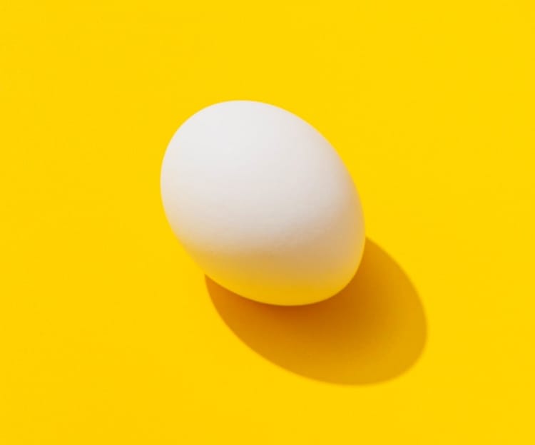 Image of  an egg